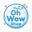 Translation missing: en.The Oh Wow Shop accessibility.home